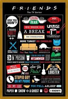 Pôster emoldurado FRIENDS - infographic